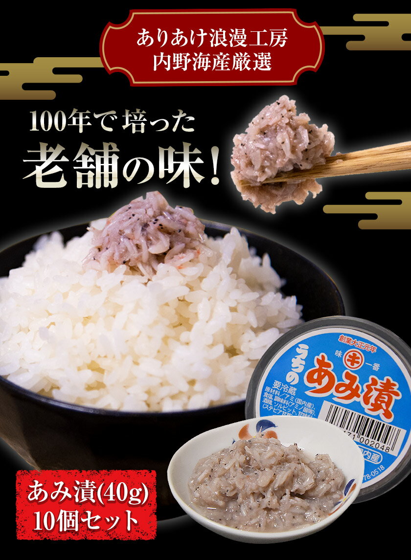 【ふるさと納税】 あみ漬 10個セット 海鮮 海産 おつまみ ご飯のおとも 有明海 内野海産《45日以内に出荷予定(土日祝除く)》
