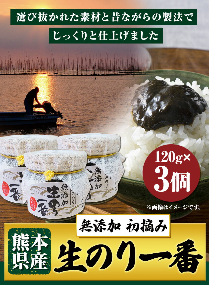 【ふるさと納税】生のり一番 長洲町《90日以内に出荷予定(土日祝除く)》おかず お惣菜 海苔の佃煮 のり佃煮 ご飯のお供 ごはんのおとも ギフト お土産 手土産