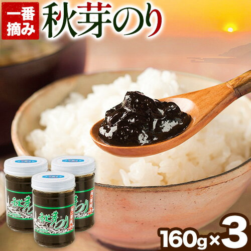 海苔の佃煮 秋芽のり160g×3本 有明海苔 長洲町[60日以内に出荷予定(土日祝除く)]おかず お惣菜 海苔の佃煮 のり佃煮 ご飯のお供 ごはんのおとも