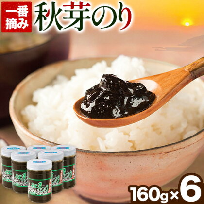 海苔の佃煮 秋芽のり160g×6本 有明海苔 長洲町《60日以内に出荷予定(土日祝除く)》おかず お惣菜 海苔の佃煮 のり佃煮 ご飯のお供 ごはんのおとも