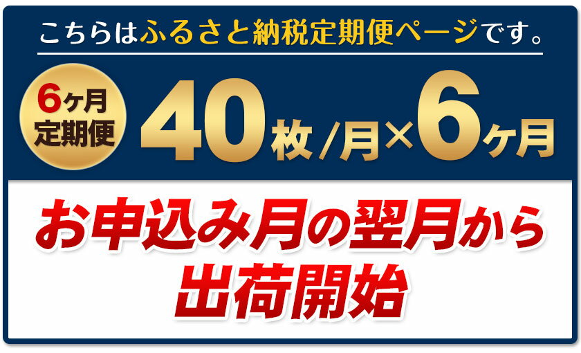 【ふるさと納税】【6ヶ月定期便】訳あり一番摘み有明海産海苔40枚 熊本県産（有明海産）全形40枚入り 長洲町 《お申込み月の翌月から出荷開始》