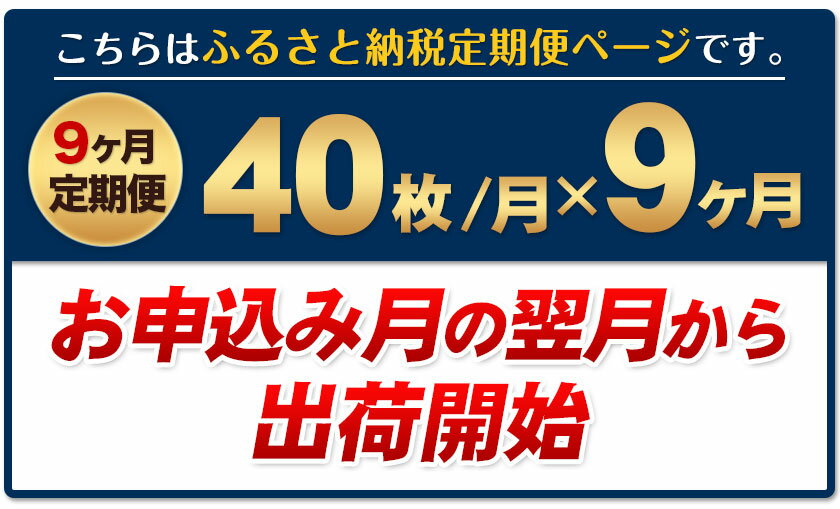 【ふるさと納税】【9ヶ月定期便】訳あり一番摘み有明海産海苔40枚 熊本県産（有明海産）全形40枚入り 長洲町 《お申込み月の翌月から出荷開始》