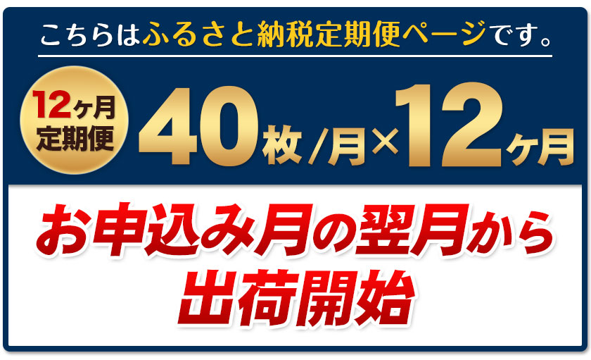 【ふるさと納税】【12ヶ月定期便】訳あり一番摘み有明海産海苔40枚 熊本県産（有明海産）全形40枚入り 長洲町 《お申込み月の翌月から出荷開始》