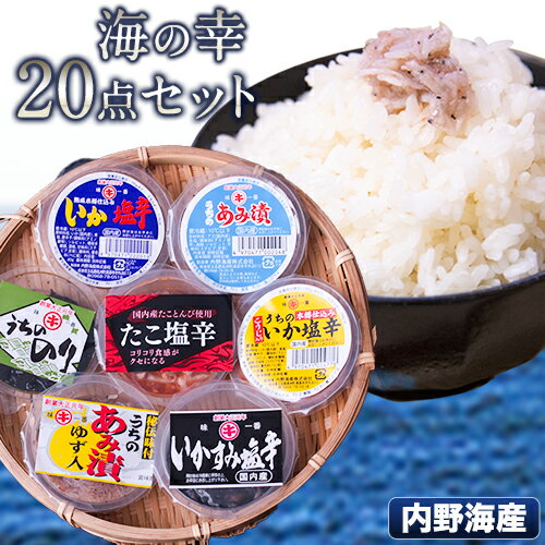 海鮮 内野海産の海の幸20点セット《45日以内に出荷予定(土日祝除く)》 海鮮 海産 おつまみ ご飯のおとも あみ漬 いか たこ 海苔 佃煮 塩辛 いかすみ 内野海産