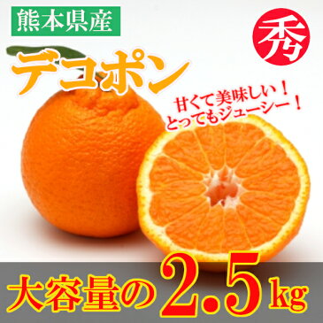 【ふるさと納税】熊本県産　デコポン（約2.5kg）