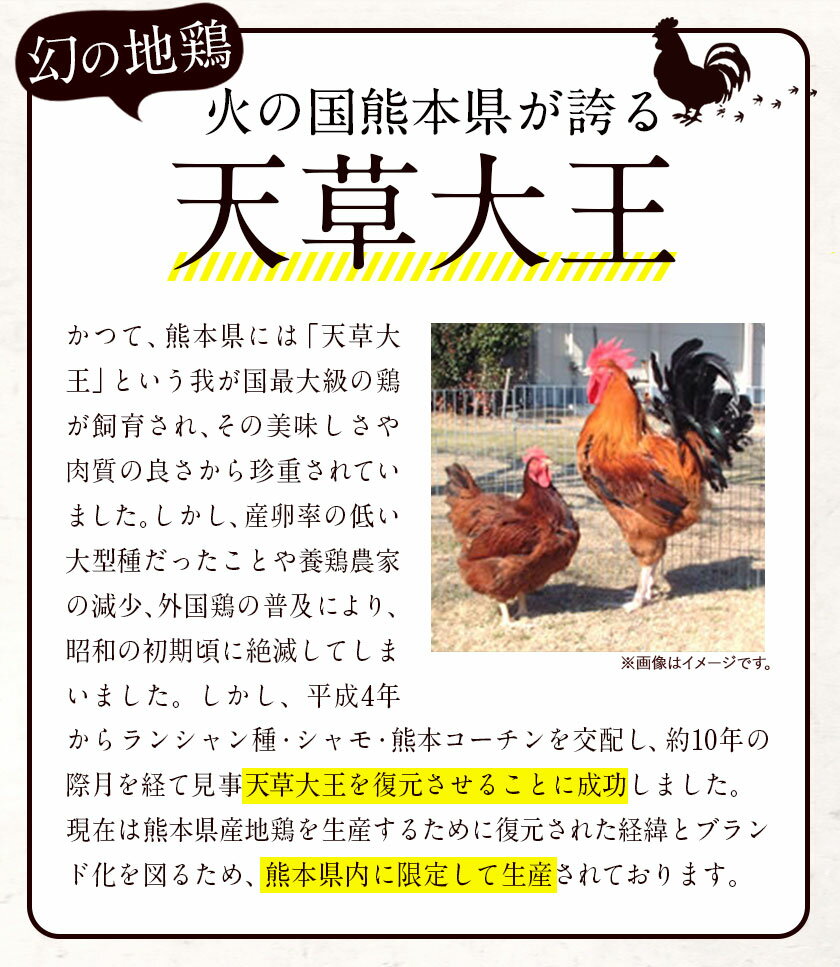 【ふるさと納税】【幻の地鶏】天草大王大手羽セット 4本入り 約650g以上 大海水産株式会社《45日以内に出荷予定(土日祝除く)》熊本県 長洲町 地鶏 チキン 鶏肉 手羽先 手羽元 大手羽 照り焼き 冷凍 送料無料