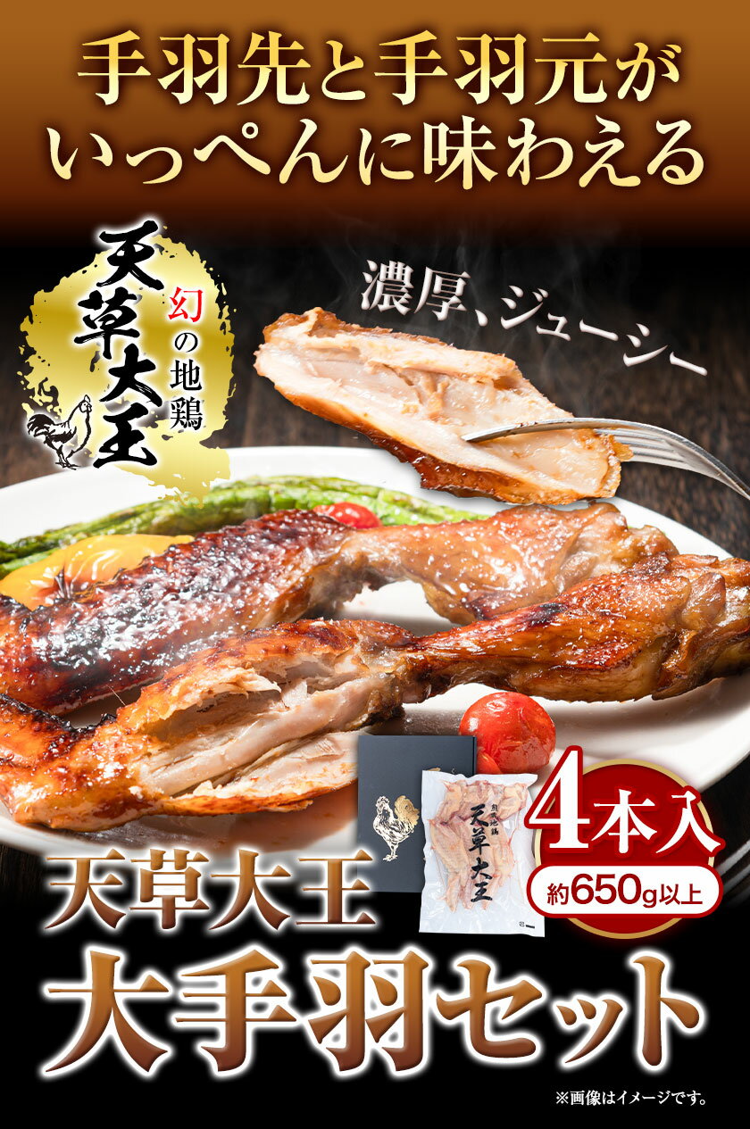 【ふるさと納税】【幻の地鶏】天草大王大手羽セット 4本入り 約650g以上 大海水産株式会社《45日以内に出荷予定(土日祝除く)》熊本県 長洲町 地鶏 チキン 鶏肉 手羽先 手羽元 大手羽 照り焼き 冷凍 送料無料