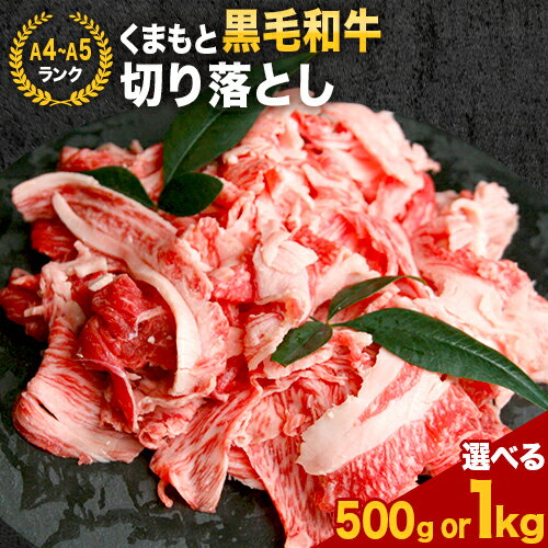 牛肉 A4〜A5等級 黒毛和牛 切り落とし くまもと黒毛和牛 切り落とし 選べる 500g 1kg [30日以内に出荷予定(土日祝除く)] 牛肉 くまもと黒毛和牛 冷凍 Esprit