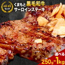 【ふるさと納税】 【A4~A5】くまもと黒毛和牛 サーロインステーキ 選べる 250g 500g 1kg 《30日以内に出荷予定(土日祝除く)》 牛肉 くまもと黒毛和牛 黒毛和牛 冷凍庫 サーロイン ステーキ Esprit