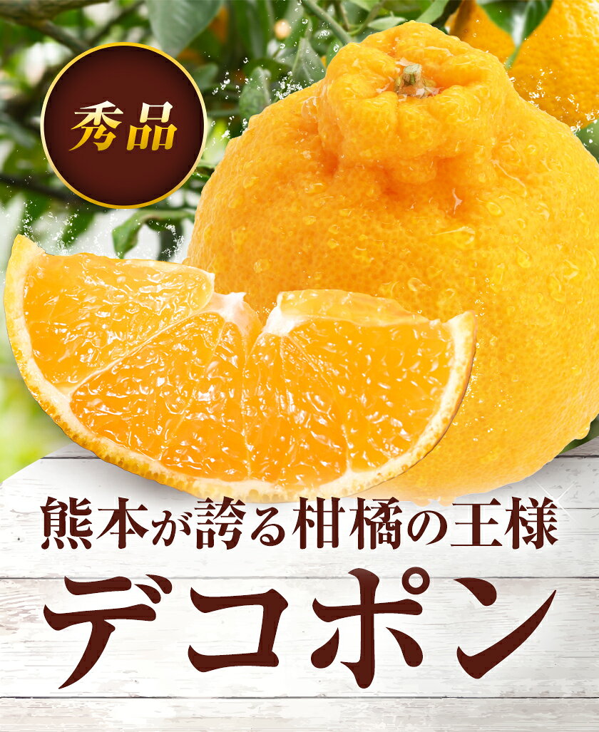 【ふるさと納税】デコポン 選べる 内容量 約2kg〜約5kg 日本フルーツ株式会社 熊本県 長洲町 《1月下旬-2月末頃出荷予定》 デコポン 果物 秀品 フルーツ スイーツ デザート ギフト ご贈答