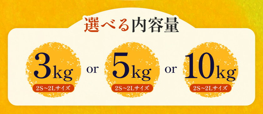 【ふるさと納税】温州みかん 選べる 内容量 約3kg～約10kg 日本フルーツ株式会社 熊本県 長洲町 《11月上旬～12月上頃に出荷予定（土日祝除く）》 デコポン 果物 秀品 フルーツ スイーツ デザート ギフト ご贈答