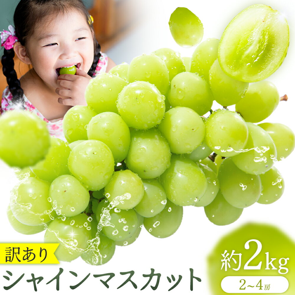 【ふるさと納税】訳あり シャインマスカット約2kg 2～4房 小川果樹園《8月下旬-9月上旬頃出荷》熊本県長洲町 フルーツ ぶどう マスカット シャインマスカット ご家庭用 果物のサムネイル