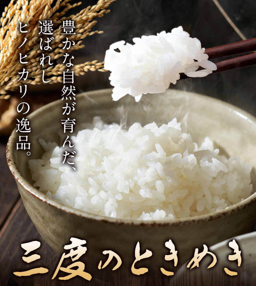 ふるさと納税 熊本県 長洲町 米 お米 三度のときめき こめ コメ　【ふるさと納税】米 三度のときめき 5kg 10kg 15kg 《60日以内に出荷予定(土日祝除く)》 くまもと食彩の力 お米 ひのひかり ヒノヒカリ こめ コメ 熊本県 長洲町
