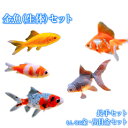 【ふるさと納税】アクアランド徳永 金魚(生体)セット《出荷指...