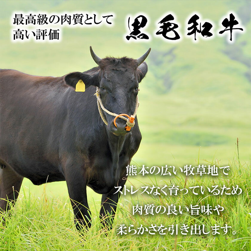 【ふるさと納税】 くまもと黒毛和牛 切り落とし 1kg《60日以内に出荷予定(土日祝除く)》 熊本県 長洲町 くまもと黒毛和牛 黒毛和牛 牛肉 肉 牛丼 切落し 株式会社 羽根(出荷元：株式会社酒湊)
