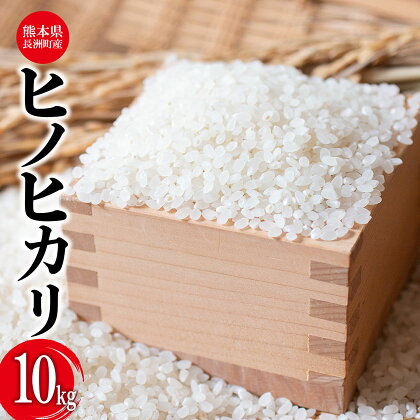 令和5年産 ヒノヒカリ 10kg 株式会社羽根《60日以内に出荷予定(土日祝除く)》熊本県産 白米 精米 ひのひかり 米