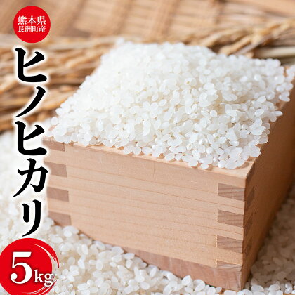 米 令和5年産 ヒノヒカリ 5kg 株式会社羽根《60日以内に出荷予定(土日祝除く)》熊本県産 白米 精米 ひのひかり 米