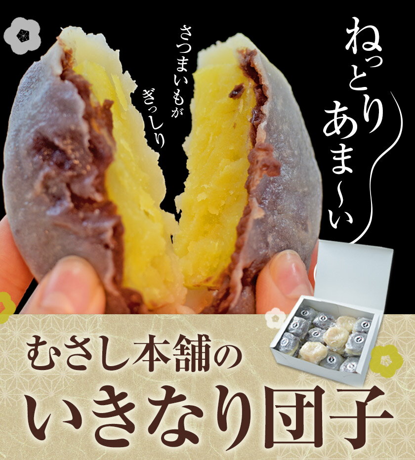【ふるさと納税】 お菓子 スイーツ むさし本舗の いきなり団子 10個 20個 30個 (黒粒あん 黒こしあん 白あん ) 団子 さつまいも 和菓子 特産品 郷土料理 お土産 ギフト 熊本県 長洲町《60日以内に出荷予定(土日祝除く)》