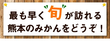 【ふるさと納税】ご家庭用 訳あり くまもと小玉みかん 約5kg(2.5kg×2箱) 熊本県産 S-3Sサイズ 先行予約 熊本県産 期間限定 フルーツ 秋 旬 柑橘 小玉 みかん 長洲町《9月下旬-10月中旬より順次出荷》