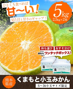 【ふるさと納税】ご家庭用 訳あり くまもと小玉みかん 約5kg(2.5kg×2箱) 熊本県産 S-3Sサイズ 先行予約 熊本県産 期間限定 フルーツ 秋 旬 柑橘 小玉 みかん 長洲町《9月下旬-10月中旬より順次出荷》