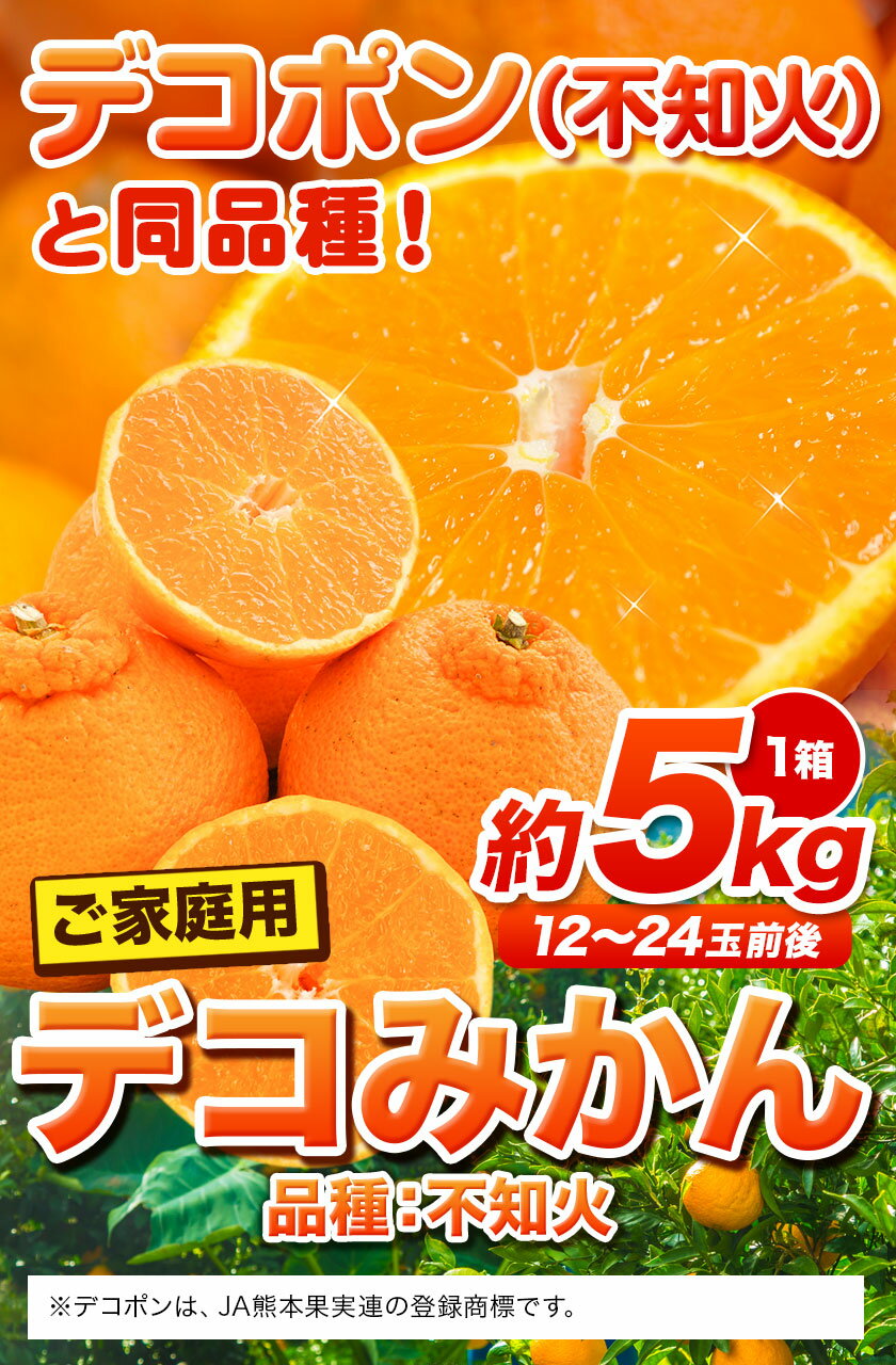 【ふるさと納税】ご家庭用 デコみかん 約5kg 12～24玉前後《2023年2月末-4月末頃より順次出荷》デコポン（不知火）と同品種 熊本県産 熊本県 長洲町 訳あり