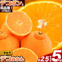 【ふるさと納税】不知火 訳あり デコみかん 約2.5kg or 約 5kg 12〜24玉前後《2026年2月上旬-4月末頃出荷》デコポン(不知火)と同品種 不知...