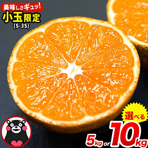 【ふるさと納税】【先行予約】増量中！訳あり くまもと小玉みかん5kg(2.5kg×2箱) ちょっと訳あり ご家庭用 小玉 たっぷり 熊本県産 S-3Sサイズ 期間限定 フルーツ 5000 g 旬 柑橘 長洲町《2023年9月下旬-10月下旬頃より順次出荷》のサムネイル