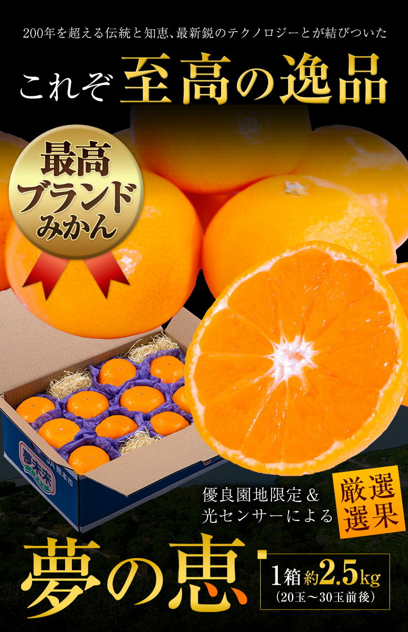 【ふるさと納税】 みかん 贈答用 秀品 夢の恵 約 2.5kg (20玉〜30玉前後) 光センサー 熊本県産 （長洲町産含む） 糖度12度以上 ブランドみかん ブランド 旬 贈答用 贈り物《11月中旬-2月中旬頃出荷》 熊本県 長洲町