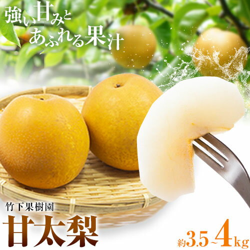 【ふるさと納税】 梨 甘太梨 和梨 なし フルーツ 果物 旬 秋 約 3.5 ~ 4kg 期間限定 長洲町産 竹下果樹園《9月上旬-9月下旬頃出荷》熊本県 長洲町 果物 なし かんたのサムネイル
