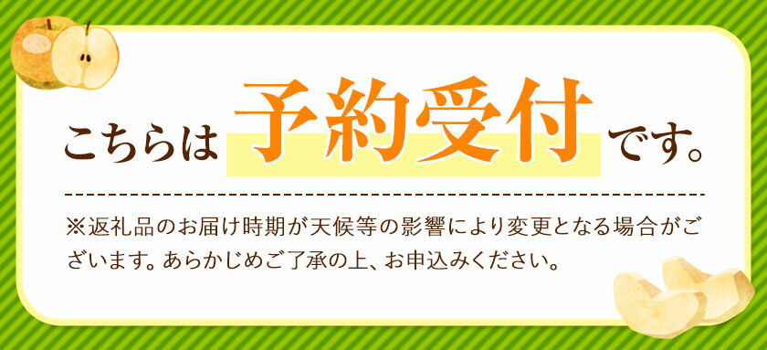 【ふるさと納税】梨 先行予約 くまもと梨 梨 秋 旬 なし 幸水 豊水 先行 果物 くだもの フルーツ ナシ 送料無料 あきづき 甘太 新高 新興 約3.5kg 5玉〜15玉前後 熊本県産【着日指定不可】《8月下旬‐11月中旬頃より順次発送》旬 果物 お取り寄せ