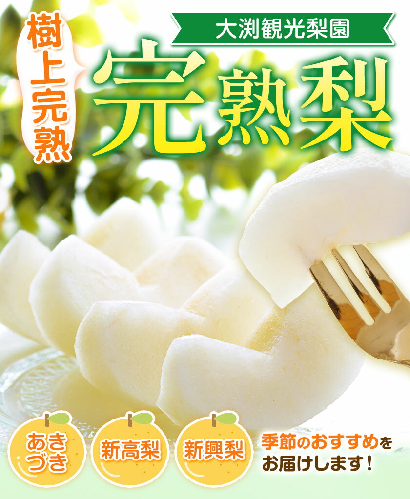 【ふるさと納税】大渕観光梨園 完熟梨 (あきづき 新高 新興 のいずれか) 秀品 約3kg (5〜8玉) または 約5kg（8～18玉） 熊本県長洲町産 《9月上旬-12月中旬頃出荷》