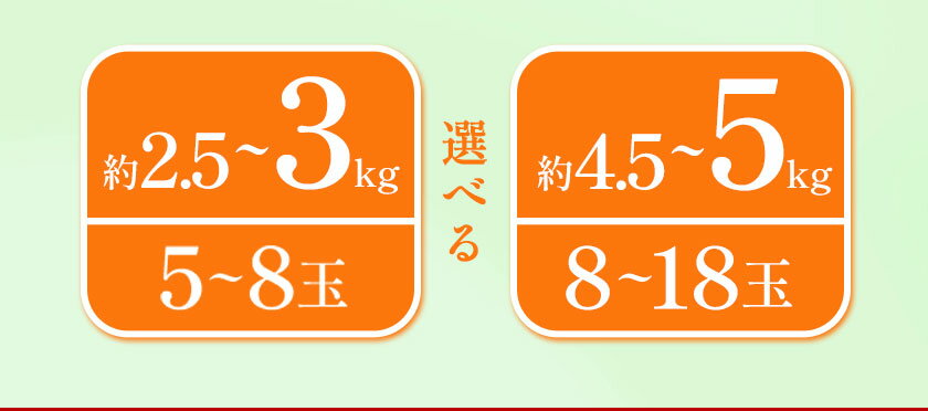 【ふるさと納税】大渕観光梨園 完熟梨 (あきづき 新高 新興 のいずれか) 秀品 約3kg (5〜8玉) または 約5kg（8～18玉） 熊本県長洲町産 《9月上旬-12月中旬頃出荷》