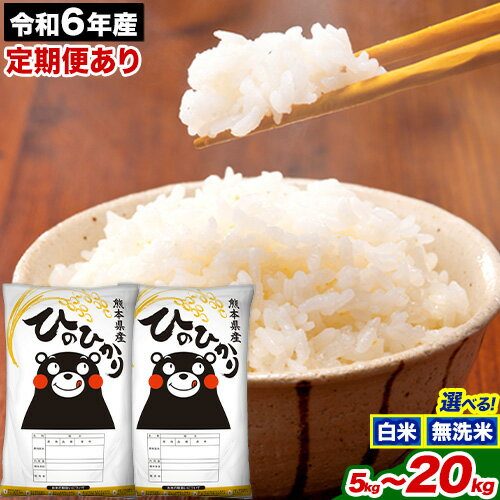 【ふるさと納税】 米 令和5年産 無洗米 も 選べる ひのひかり 10kg 5kg×2袋 《7-14営業日以内に出荷予定(土日祝除く)》 熊本県産 無洗米 白米 精米 長洲町 ひの 送料無料 発送時期が選べるのサムネイル
