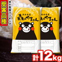 【ふるさと納税】森のくまさん 12kg 6kg×2袋 白米 令和2年産 熊本県産 単一原料米 長洲町 森くま 10000円 すぐ届く《3-7営業日以内に出荷(土日祝除く)》