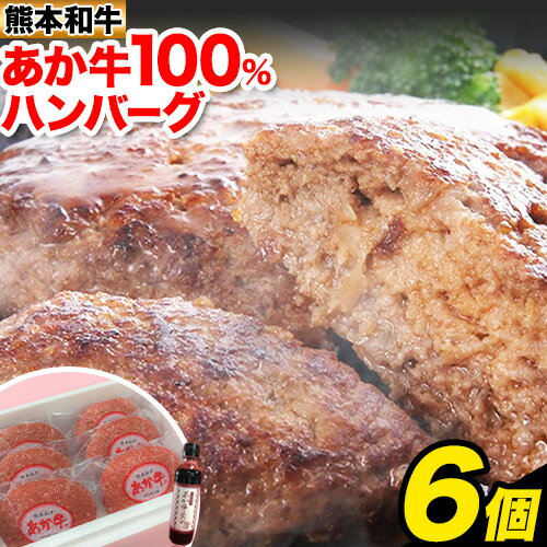 あか牛 100%ハンバーグ 120g×6個 あか牛のたれ付き 熊本県産 あか牛 あかうし 三協畜産 [60日以内に出荷予定(土日祝除く)] 熊本県 長洲町 タレ付き ハンバーグ 熊本和牛 送料無料