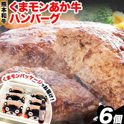 くまモン あか牛 ハンバーグ 120g×6個 あか牛のたれ付き 熊本県産 あか牛 あかうし 三協畜産 [60日以内に出荷予定(土日祝除く)] 熊本県 長洲町 タレ付き ハンバーグ 熊本和牛 送料無料