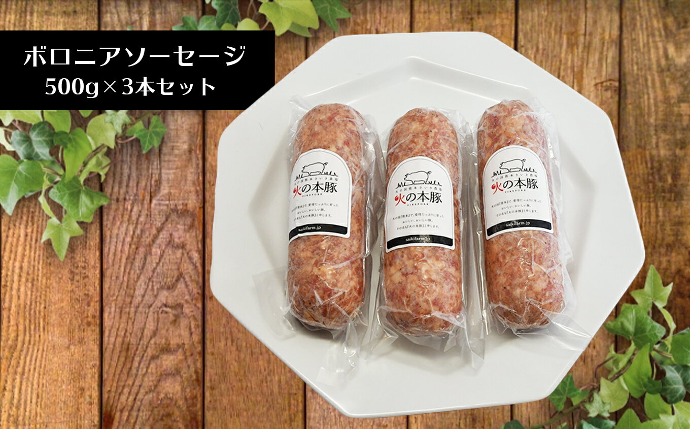 【ふるさと納税】 「火の本豚」 ボロニアソーセージ500g×3　ソーセージ 火の本豚 豚肉 肉 加工肉 加工品 ボロニアソーセージ 国産 熊本県 和水町