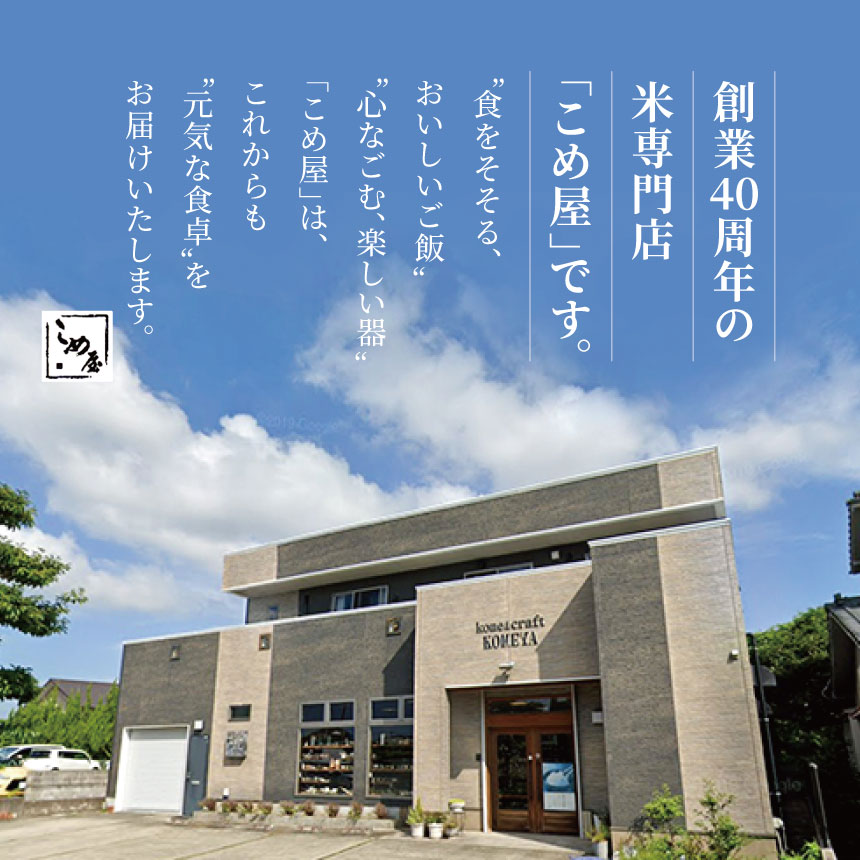 【ふるさと納税】令和5年産 熊本県産 こめ屋オリジナルブレンド 菊池川流域米 10kg 定期便 3回 米 ブレンド米 国産 熊本県 和水町