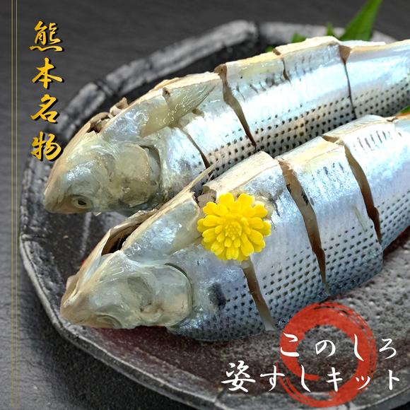 熊本県産 このしろ 姿すしキット 10匹 魚 国産 熊本県 和水町