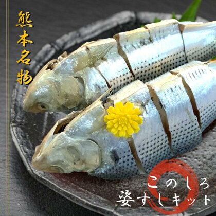 熊本県産 このしろ 姿すしキット 10匹　魚 国産 熊本県 和水町