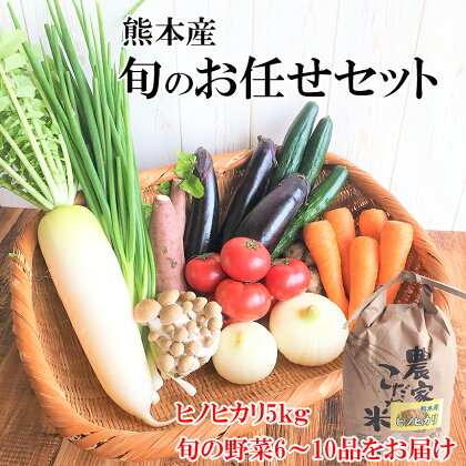 お米(ヒノヒカリ)5kg・旬の野菜セット(6〜10品目) 野菜 米 ヒノヒカリ 詰め合わせ お任せ 国産 熊本県 和水町