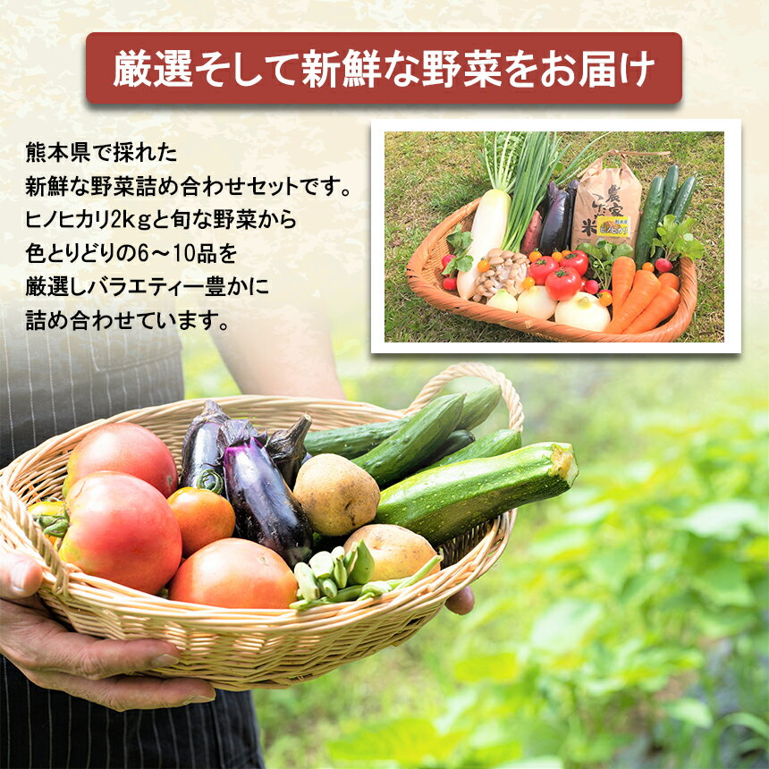 【ふるさと納税】 お米(ヒノヒカリ)2kg・旬の野菜セット(6〜10品目) (定期便3回(1ヵ月毎)) 野菜 米 ヒノヒカリ 詰め合わせ お任せ 国産 熊本県 和水町