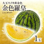 【ふるさと納税】 大玉 スイカ 黄金色 金色羅皇 1玉 すいか スイカ 2024年6月頃発送 果物 フルーツ 大玉 国産 熊本県 和水町 西瓜 大玉くまもと 熊本県 希少 野菜 人気 こんじき らおう