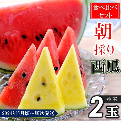 楽天ふるさと納税　【ふるさと納税】【先行予約】2024年5月頃~発送 食べ比べ 小玉スイカ（黄色・赤色）2玉 スイカすいか 果物 フルーツ 黄色すいか 国産　熊本県和水町 数量限定 残り僅か