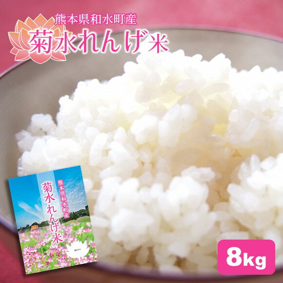 【ふるさと納税】精米 ひのひかり(菊水れんげ米) 8kg 米　 ひのひかり 菊水れんげ米 国産 熊本県 和水町のサムネイル