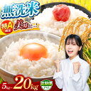 【ふるさと納税】 無洗米 新米【 美味比べ 】 特A 獲得 食べ比べ 数量限定 令和 7年産 熊本県 ひのひかり 森のくまさん くまさんの輝き | 選べる 銘柄...