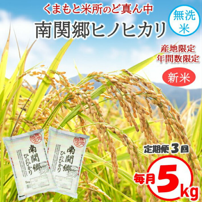 【ふるさと納税】無洗米 南関郷のお米 「ヒノヒカリ」5kg＜定期便3回＞ 熊本県産 ひのひかり 熊本県 令和2年度産 人気 無洗米