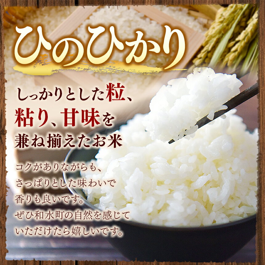 【ふるさと納税】 令和5年産 熊本県産 ひのひかりとくまさんの輝き食べ比べ 無洗米 乾式無洗米 10kg 20kg 定期便 3回 6回 12回 米 | 特A 米 ご飯 単一米 こめ 小分け 定期 銘柄米 人気 選べる