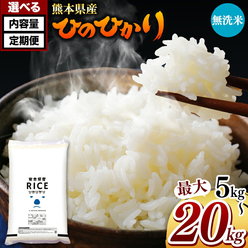 【ふるさと納税】 令和5年産 熊本県産 ひのひかり 無洗米 5kg 10kg 15kg 20kg 定期便 3回 6回 12回 米...