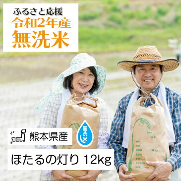 【ふるさと納税】無洗米「ほたるの灯り」12kg 米 ほたるの灯り 大容量 国産 熊本県 和水町